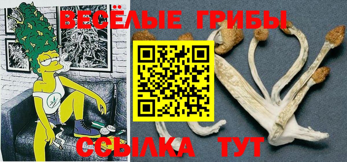 купить наркоту  Вход с VPN  Нерюнгри  Галлюциногенные грибы Cubensis 
